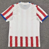 2026-27 Paraguay Home Fans Soccer Jersey