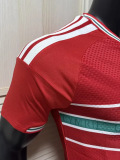 2026-27 Wales Home Player Version Soccer Jersey