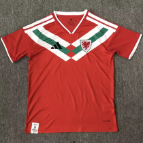 2026-27 Wales Red Special Edition Fans Soccer Jersey