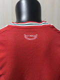 2026-27 Wales Home Player Version Soccer Jersey