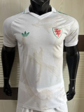 2026-27 Wales Away Player Version Soccer Jersey