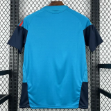 2026-27 Spain Lake Blue Training shirts