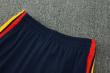 2026-27 Spain Lake blue Half Pull Tracksuit (半拉链)