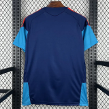 2026-27 Spain Royal blue Training shirts