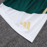 2026-27 Italy Green Player Version Training Short Suit (球员短套装)#D2603