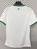 2026-27 Northern Ireland Away Fans Soccer Jersey