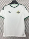 2026-27 Northern Ireland Away Fans Soccer Jersey