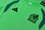2026-27 Mexico Green Training Short Suit