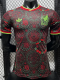 2026-27 Mexico Brown Special Edition Player Version Training shirts
