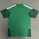 2026-27 Mexico Green Fans Training shirts