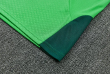 2026-27 Mexico Green Training Short Suit