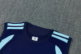 2026-27 Argentina Royal blue Tank top and shorts suit