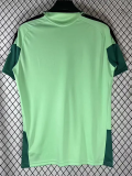 2026-27 Mexico Fluorescent Green Fans Training shirts