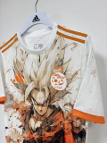 2026-27 Algeria Special Edition Player Version Training shirts (球员版)动漫