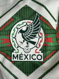 2026-27 Mexico White Green Special Edition Fans Training shirts