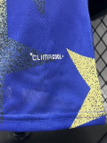 2026-27 Argentina Blue Yellow Player Version Training shirts