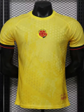 2026-27 Colombia Yellow Special Edition Player Version Training shirts (逗号)
