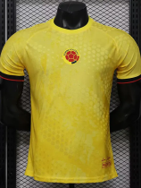 2026-27 Colombia Yellow Special Edition Player Version Training shirts (逗号)