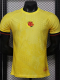 2026-27 Colombia Yellow Special Edition Player Version Training shirts (逗号)
