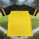 2026-27 Ghana Black Yellow Fans Training shirts (GH上截黑)