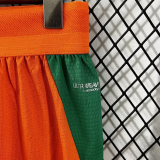 2026-27 Ivory Coast Home Player Version Shorts Pants(球员短裤)