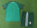 2026-27 Algeria Away Kids Player Version Soccer Jersey (球员童装)
