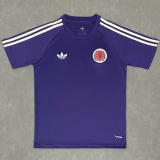 2026-27 Scotland Casual Edition Purple Training shirts