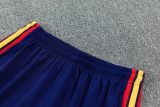 2026-27 Spain Royal blue Tank top and shorts suit