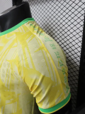 2026-27 Brazil Yellow Special Edition Player Version Training shirts (逗号)