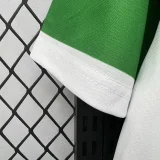 2026 Real Betis Special Edition Fans Soccer Jersey