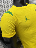 2026-27 Brazil Yellow Special Edition Player Version Training shirts (绿飞人标)