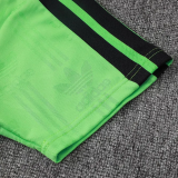 2026-27 Mexico Green Player Version Training Short Suit (球员短套装)#D2604
