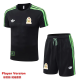 2026-27 Mexico Green Player Version Training Short Suit (球员短套装)#D2604