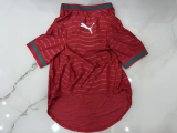 2026 Portugal Home Pet Soccer Jersey