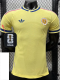 2026-27 Curacao Aawy Player Version Soccer Jersey (Right-Arm Patch)