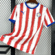 2026-27 Paraguay Home Fans Soccer Jersey