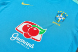 2026-27 Brazil Lake blue Training Short Suit