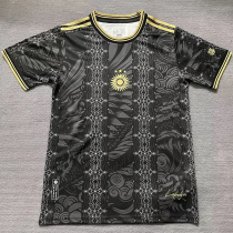 25-26 Argentina Black Gold Special Edition Training shirts