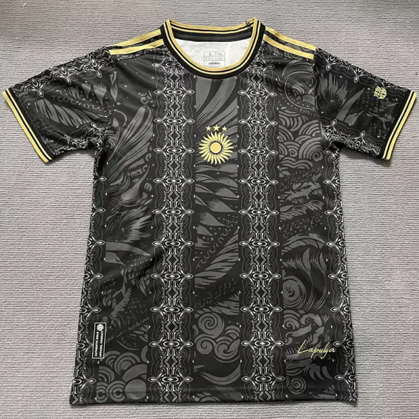25-26 Argentina Black Gold Special Edition Training shirts