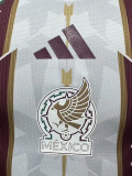 2026-27 Mexico White Brown Special Edition Player Version Training shirts
