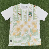 2026-27 Ivory Coast Away Fans Soccer Jersey (Right-Arm Patch)