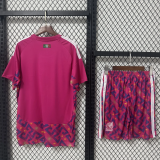 2026-27 Mexico World Cup Goalkeeper Kit Adult Soccer Jersey(成人套装）