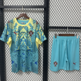 2026-27 Portugal World Cup Goalkeeper Kit Adult Soccer Jersey(成人套装）