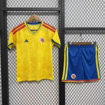 2026-27 Colombia National Team Home Adult Soccer Jersey(成人套装）