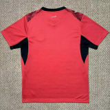 2026-27 Egypt Home Fans Soccer Jersey (Right-Arm Patch)