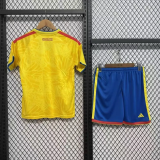 2026-27 Colombia National Team Home Adult Soccer Jersey(成人套装）