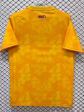2026-27 Haiti Yellow Goalkeeper Fans Soccer Jersey