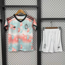 2026-27 Belgium Away Adult Soccer Jersey(成人套装）