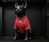 2026 Portugal Home Pet Soccer Jersey