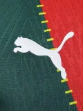2025-26 Marseille Red Green Special Edition Player Version Training shirts